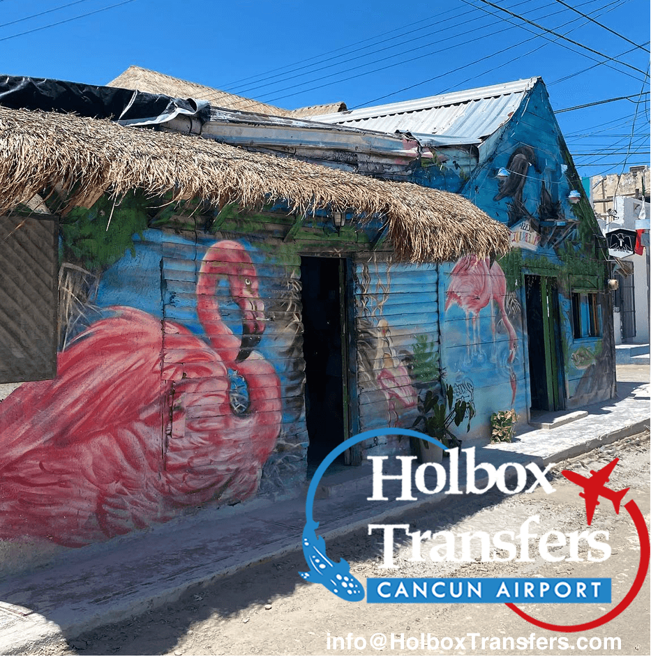 Visit Holbox in 1 day | Holboxtransfers.com