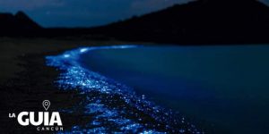 Glimpse the spectacle of bioluminescence - Holboxtransfers.com