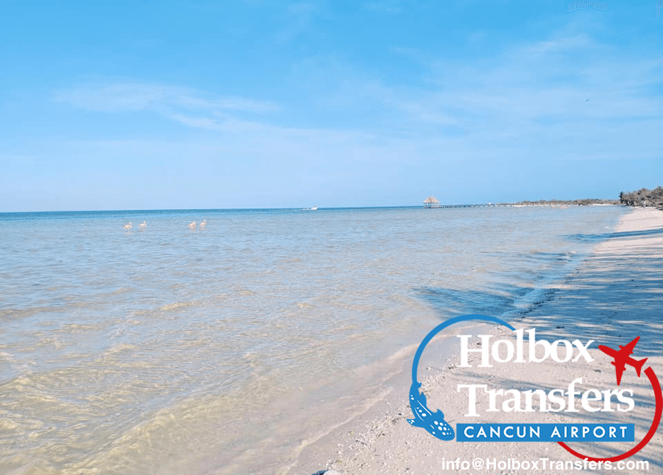 Beach | Holboxtransfers.com