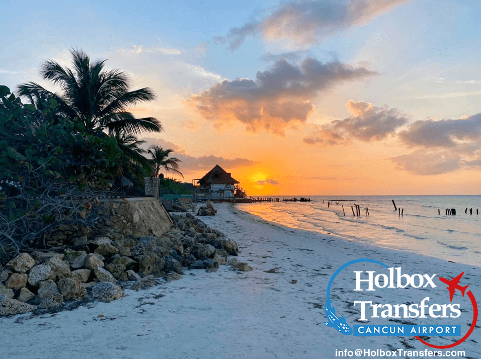 Visit Holbox in 1 day | Holboxtransfers.com