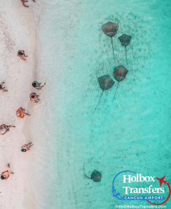 Visit Holbox in 1 day | Holboxtransfers.com